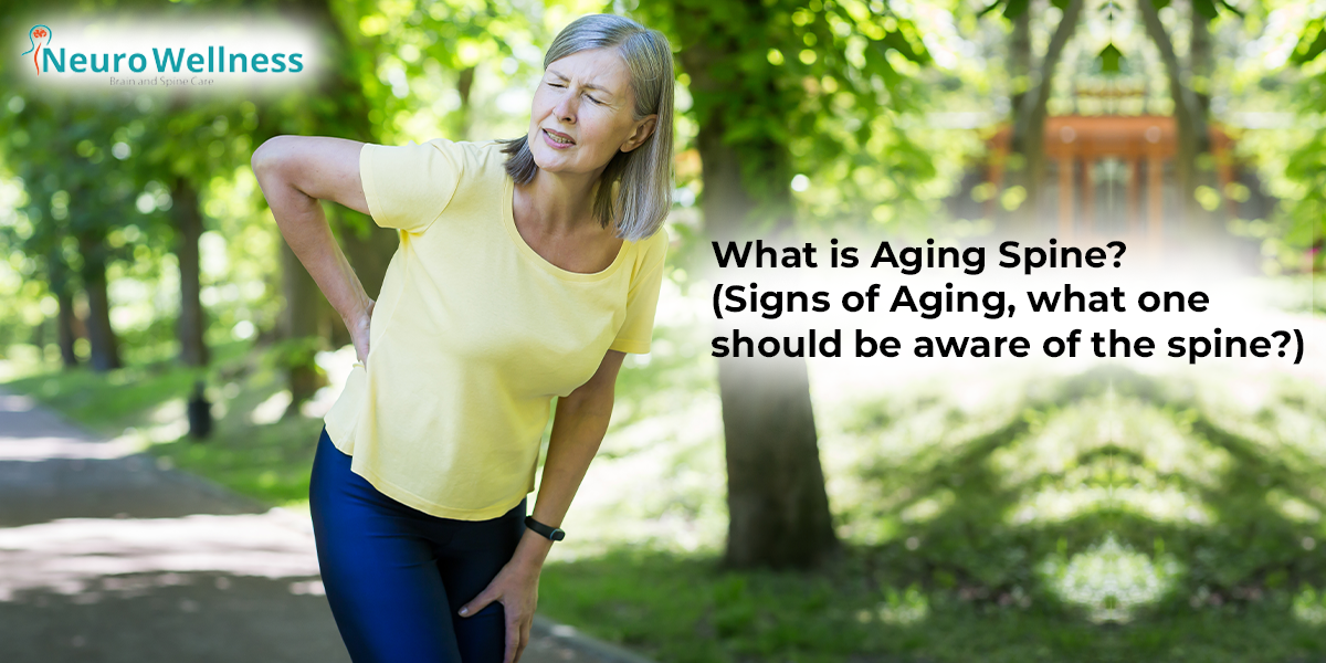 What is Aging Spine? (Signs of Aging, what one should be aware about spine)?